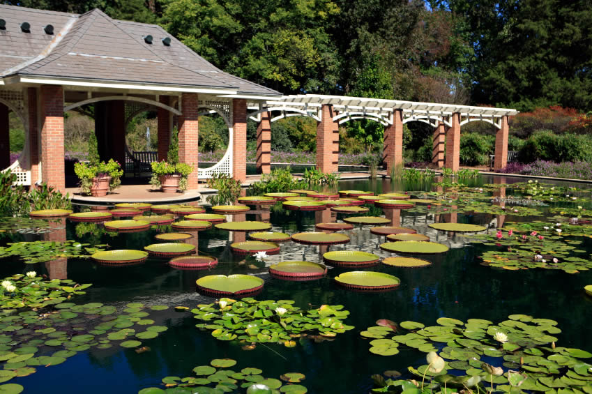 Huntsville Botanical Gardens