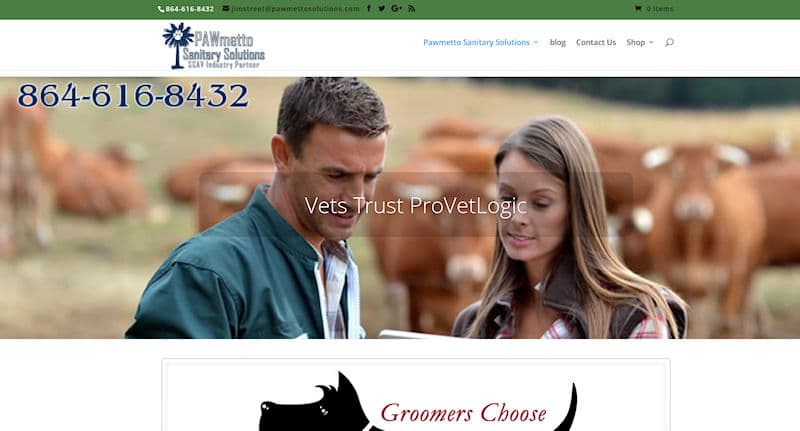 Pawmetto Solutions pet services
